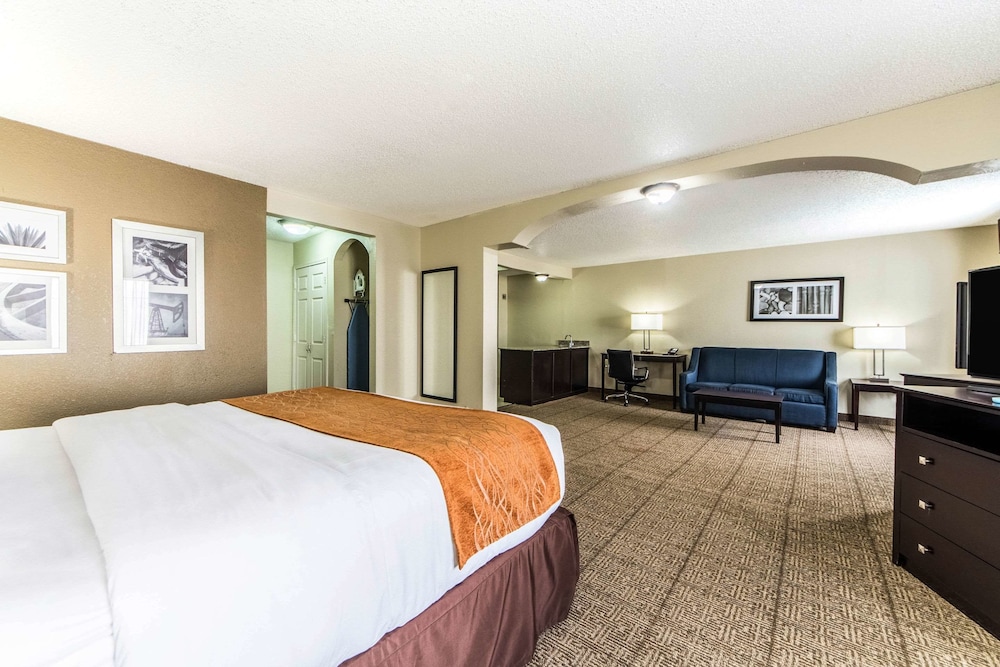 SUITE, KING BED
