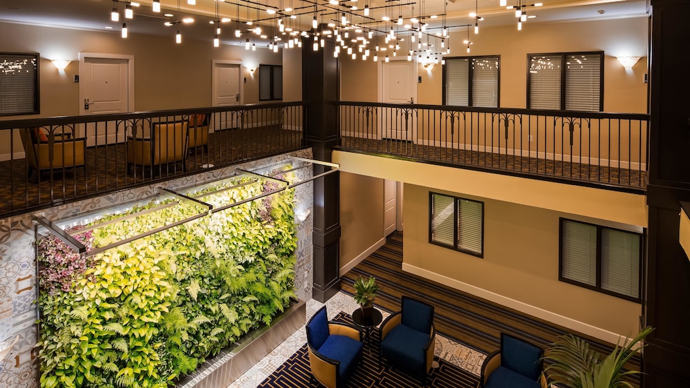 Best Western Plus Palm Court Hotel 3/42