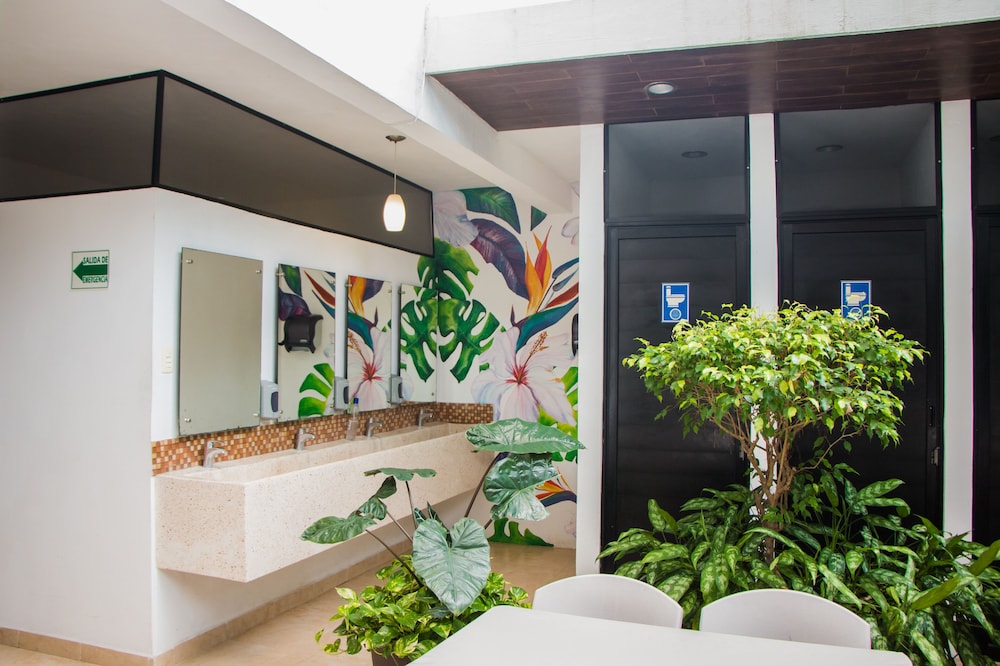 Gayser Hostal 15/25