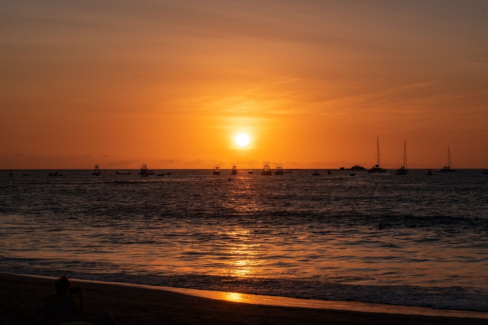 Tamarindo Diria Beach Resort 60/63