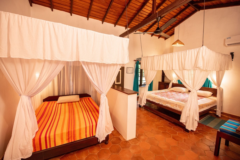 Ging Oya Lodge 11/50