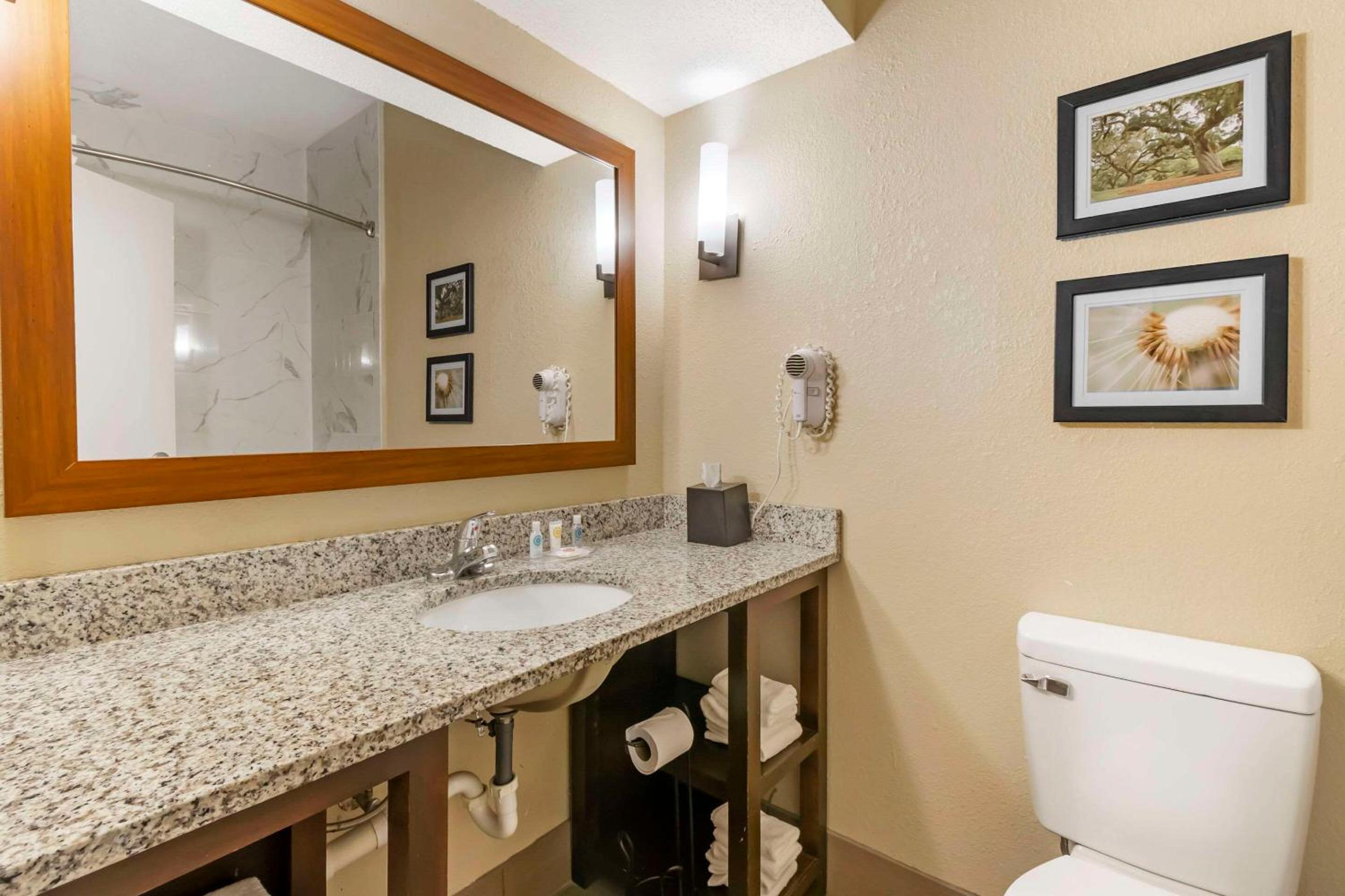 غرفة بسرير كينج لذوي الإعاقة، Comfort Suites At The University 8/9