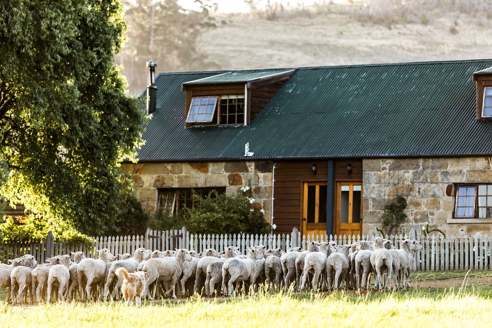 Daisy Bank Cottages 58/62