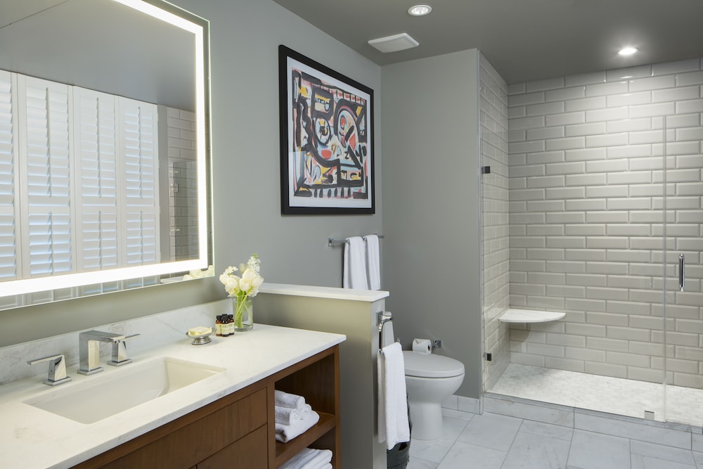 Hotel ZaZa Houston Memorial City 14/57
