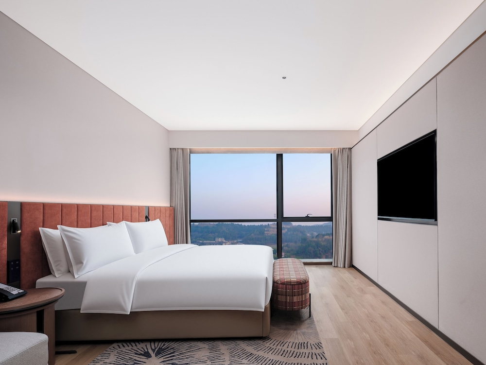 Hilton Garden Inn Mianyang Santai 15/48