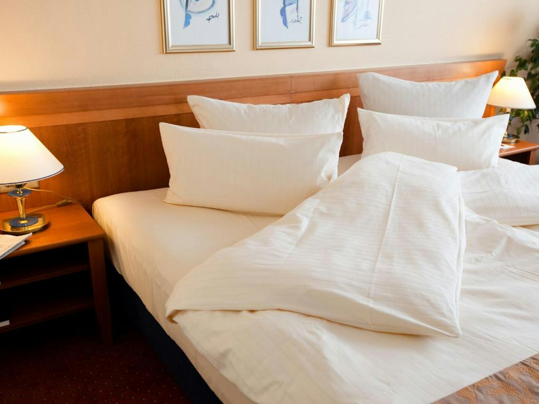 Carathotel Basel 5/9