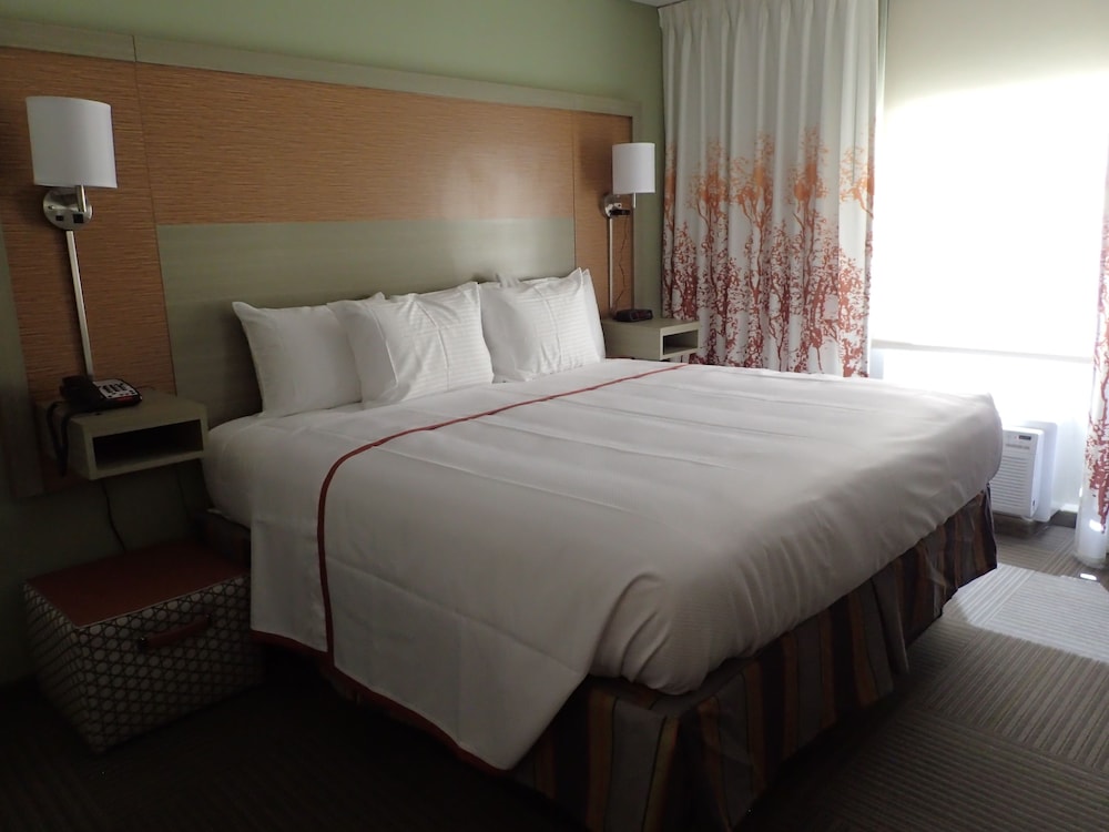 Gallus Stadium Park Inn, an Ascend Collection Hotel 17/33