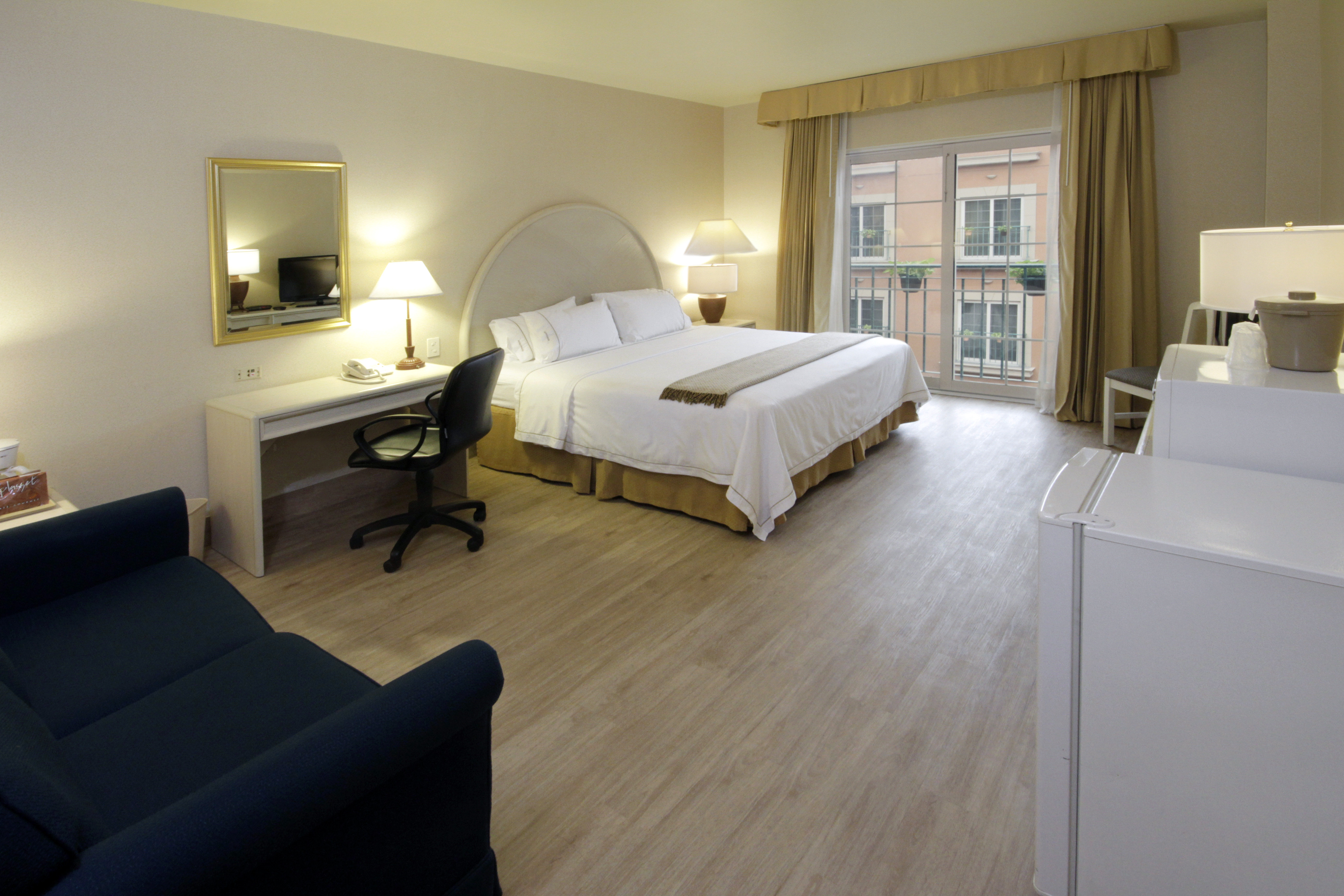 Holiday Inn Express Torreon 27/69