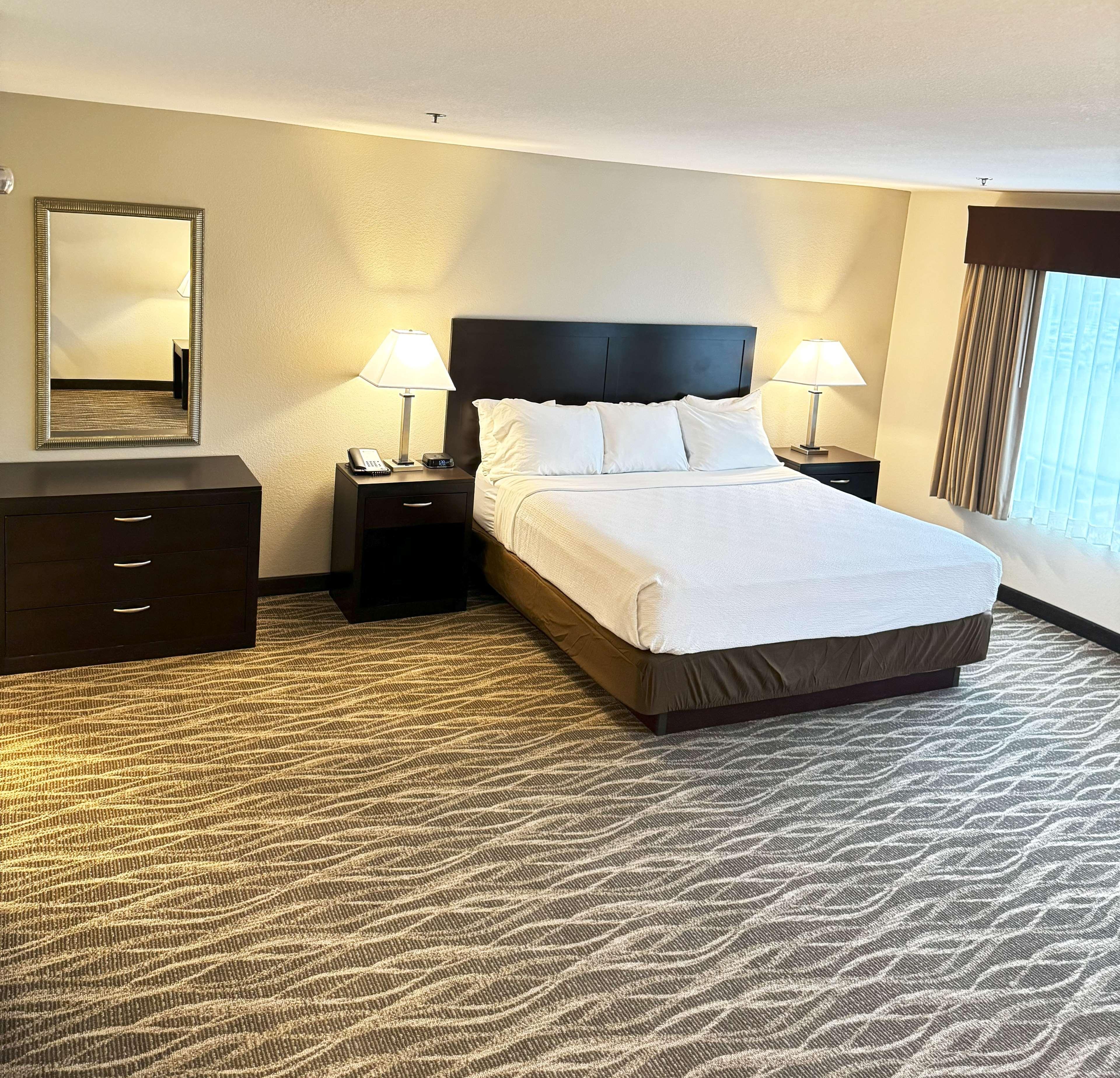 Room, Queen Bed, Sofa, Kitchen, Accessible