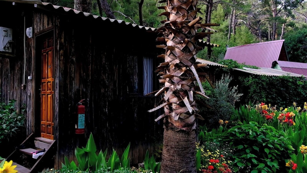 Olympos Mercan Pansiyon 37/50