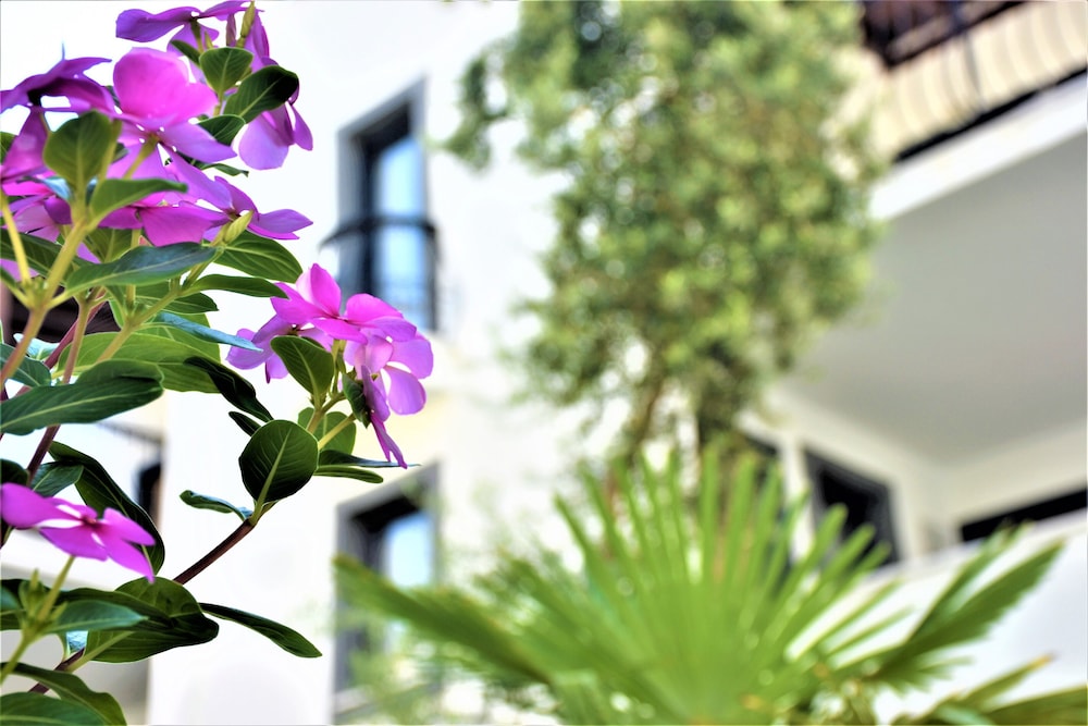 Modern Life Bodrum Otel 39/50