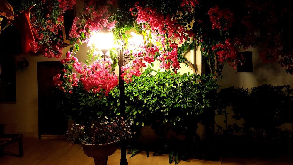 Eon Dalyan Boutique Hotel 38/50