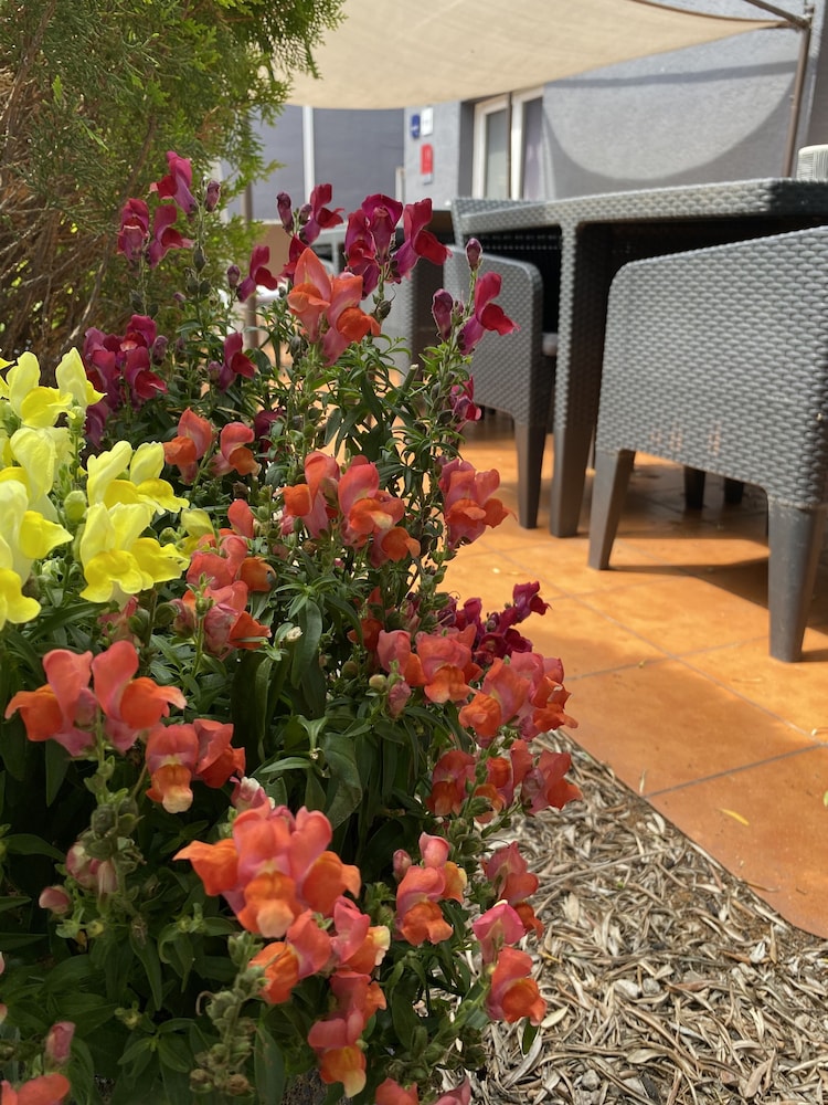LE SUD HOTEL 33/44