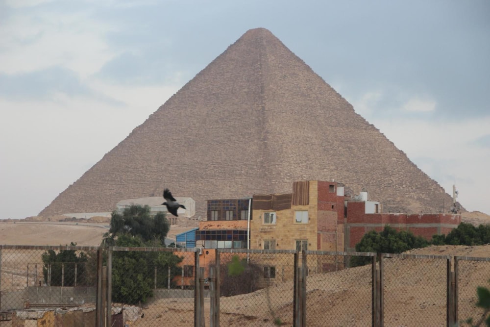 Farida Pyramids View 24/30