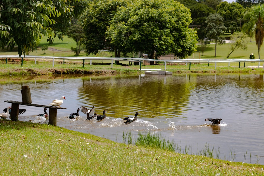 Vale das Aguas Fazenda Resort 43/48