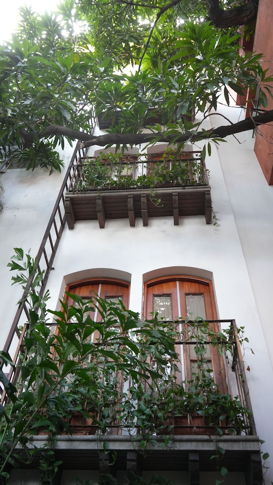 Hotel Casa del Arbol 1/50
