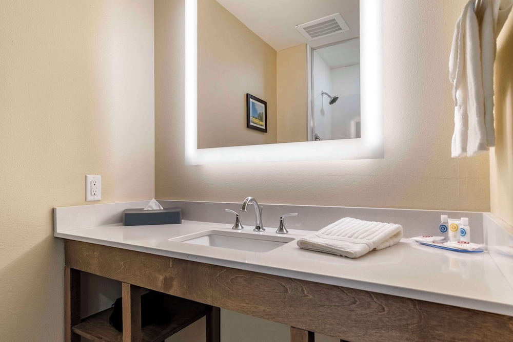 Comfort Inn and Suites Downtown near University 26/29