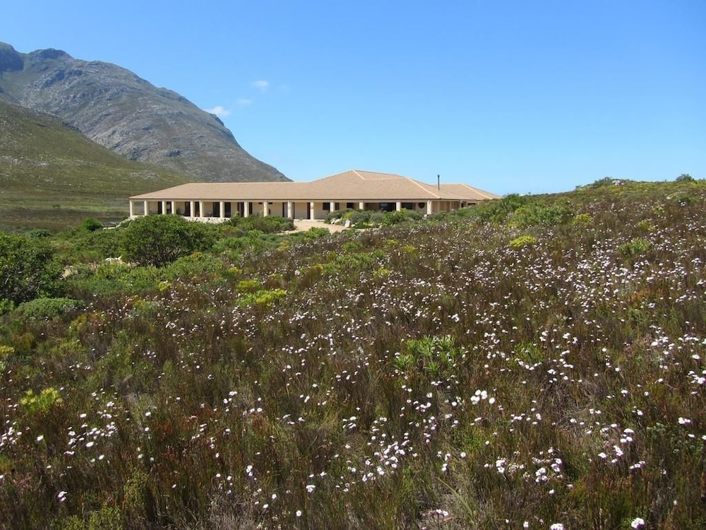 Kapensis Guesthouse 20/35