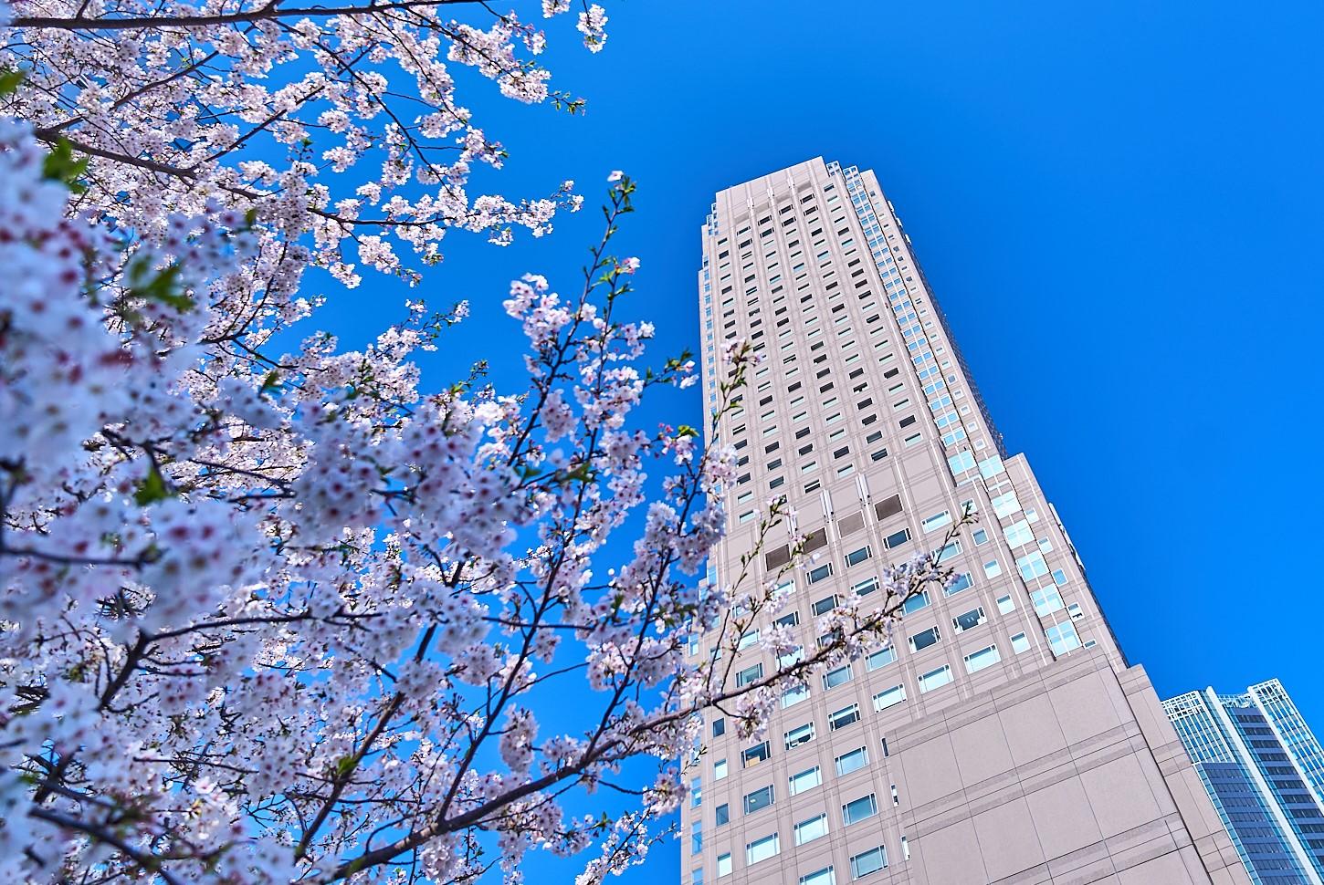 Cerulean Tower Tokyu Hotel, A Pan Pacific Partner Hotel in TOKYO