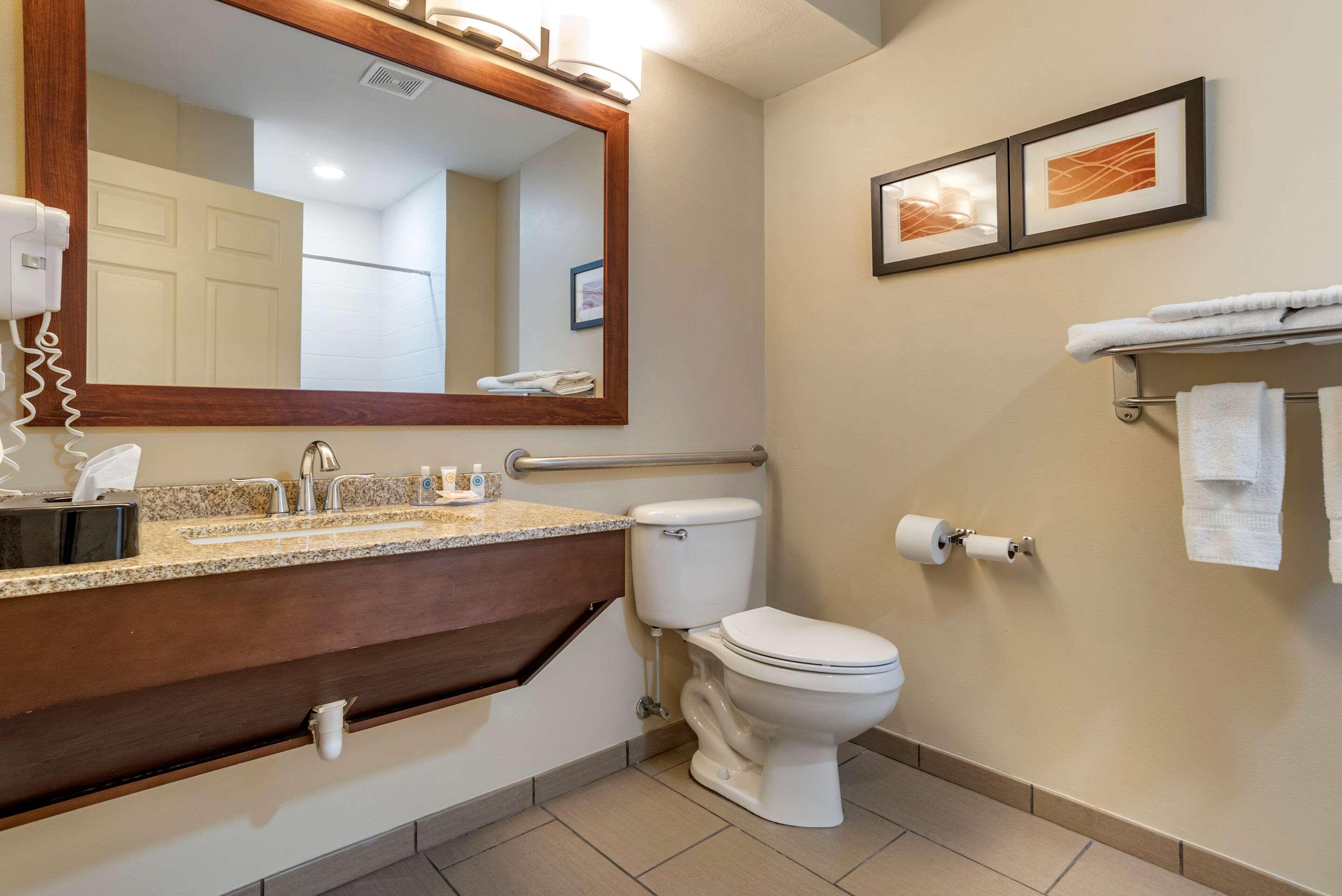 Comfort Inn Amite City 62/68