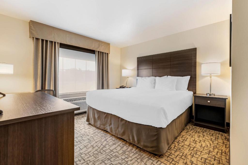 Upgrade, King Bed