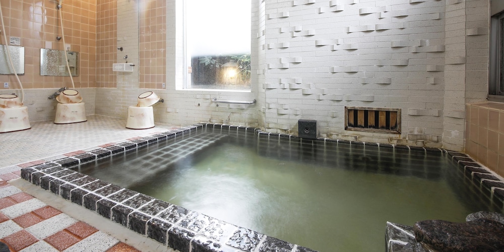 Seikiro Ryokan Historical Museum Hotel 38/50