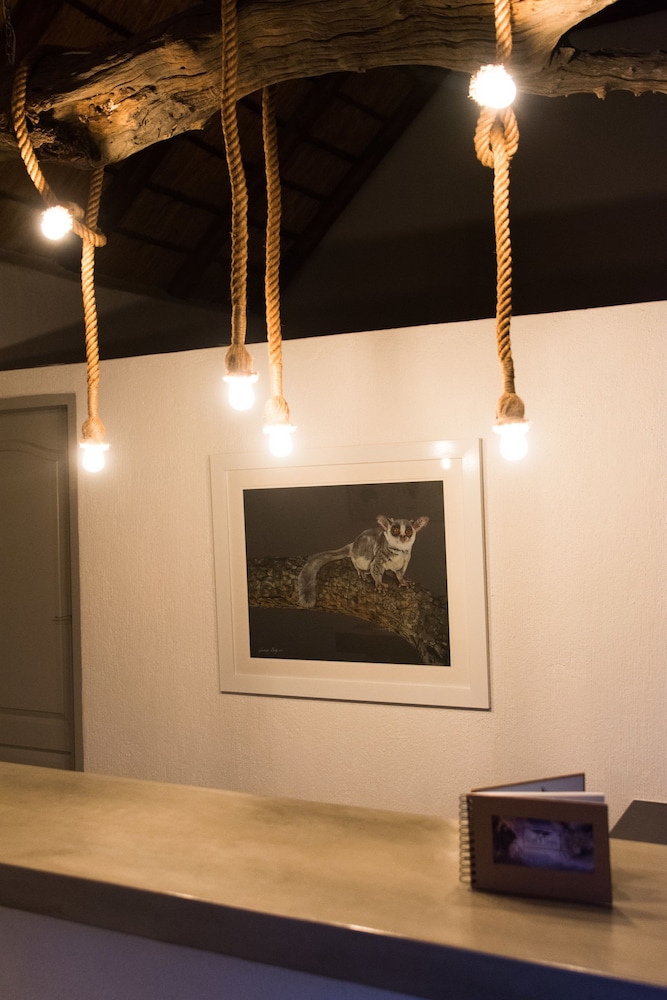 Bushbaby River Lodge 43/59