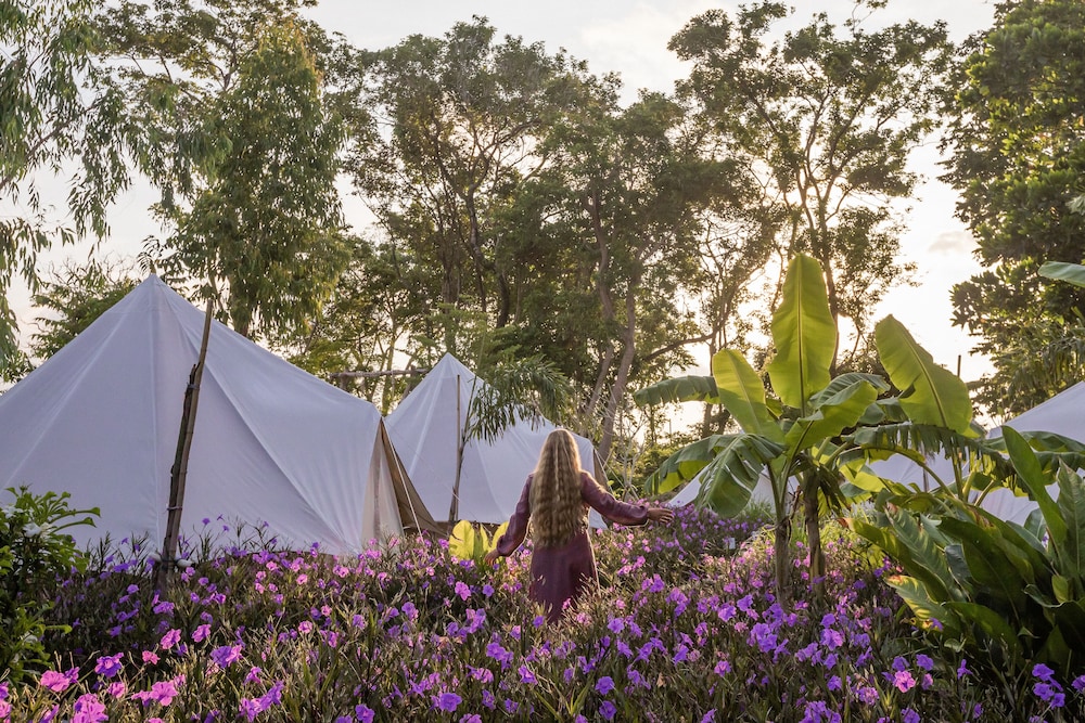 Roost Glamping 36/49
