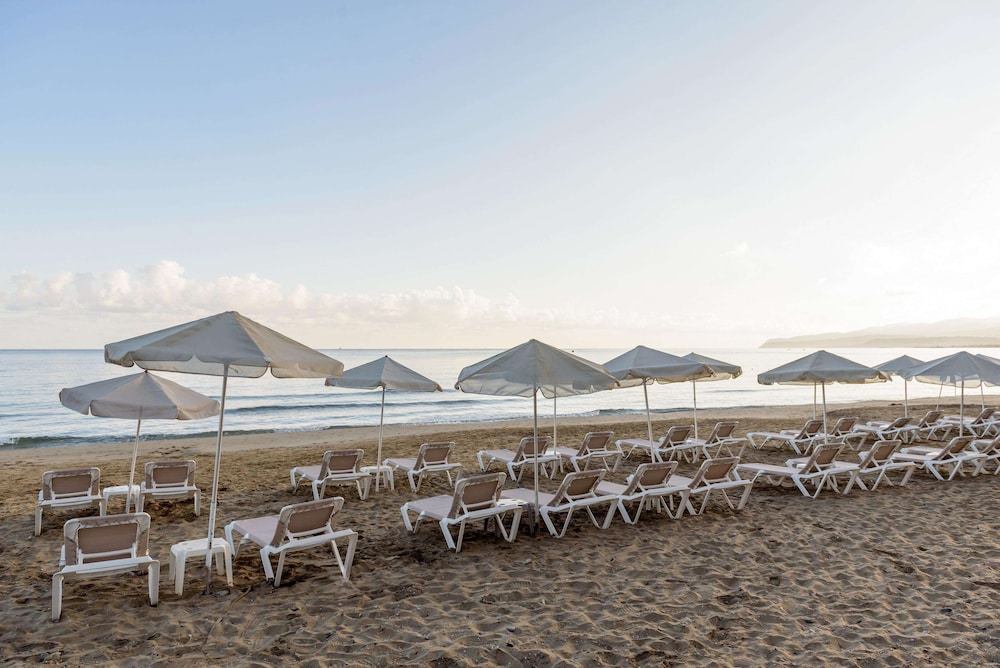 Zeus Hotels Palm Beach Hotel 56/63