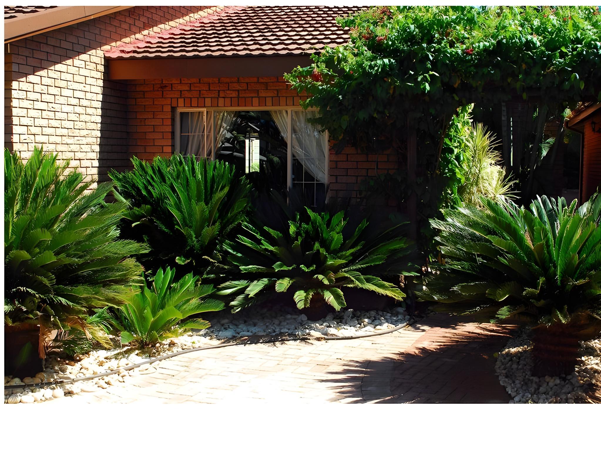 Cycas Guest House 20/35
