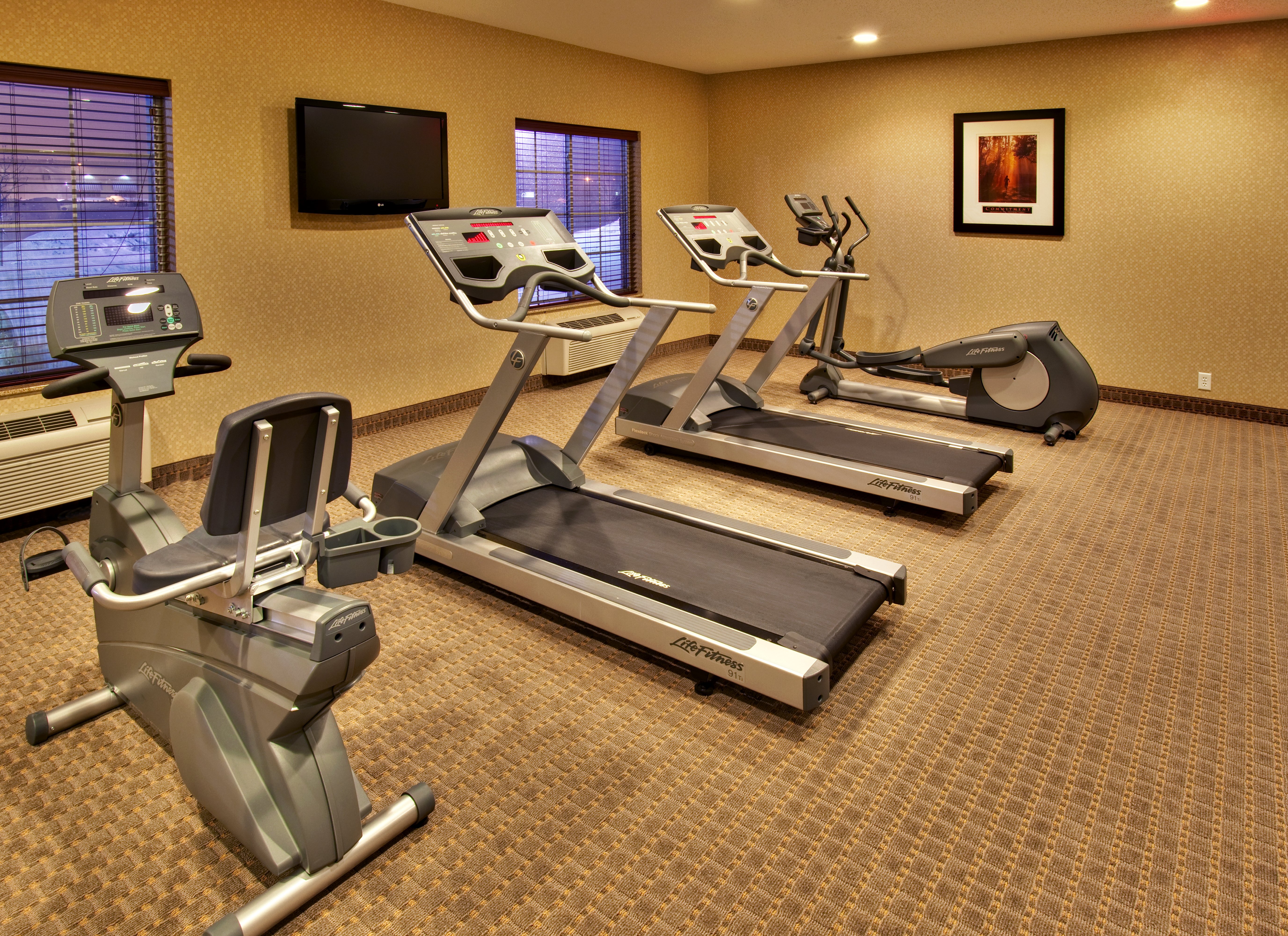 Holiday Inn Express Hotel And Suites Council Bluffs Conv Ctr Area 48/77