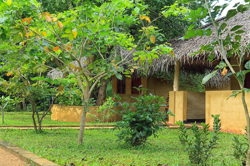 Niyagala Lodge 37/50