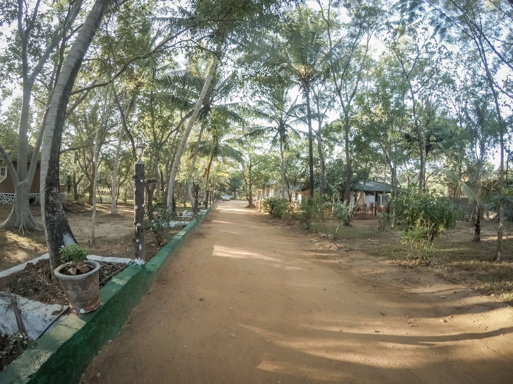 Apsaras Resort Sigiriya 32/45
