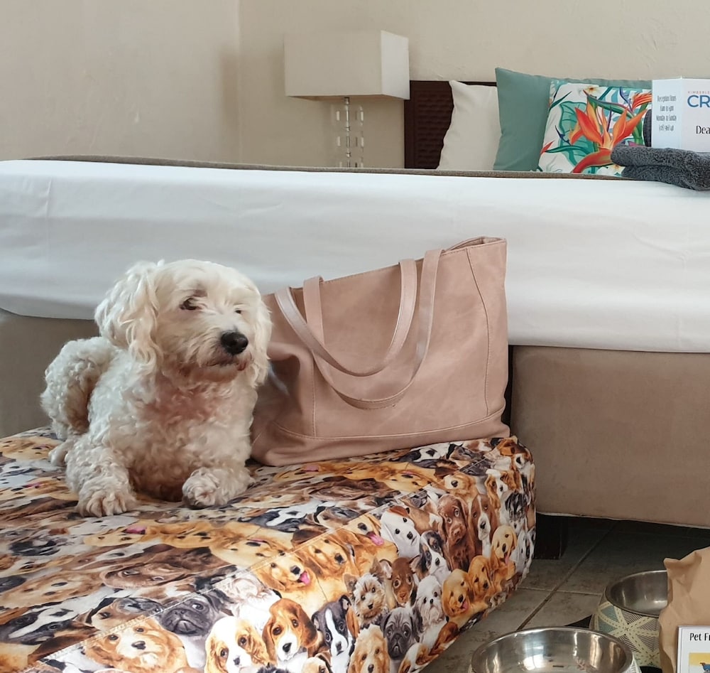 Kimberley Croc Motel 48/61