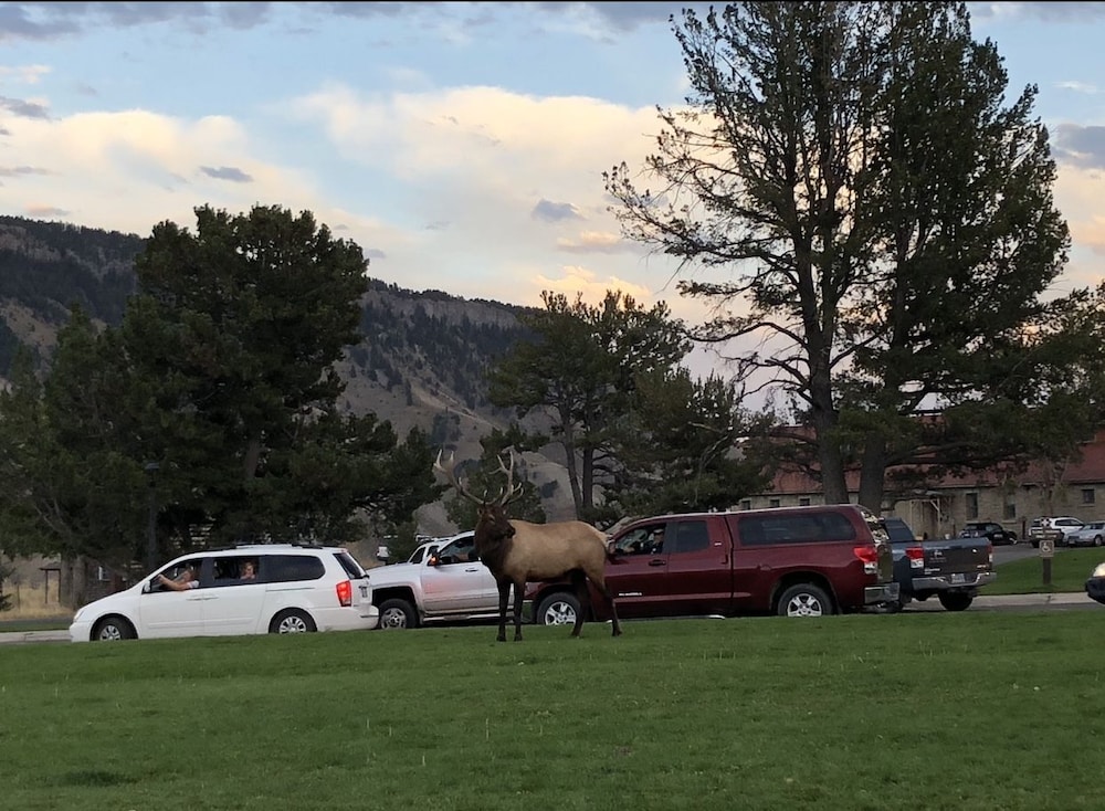 Yellowstone Village Inn and Suites 17/36