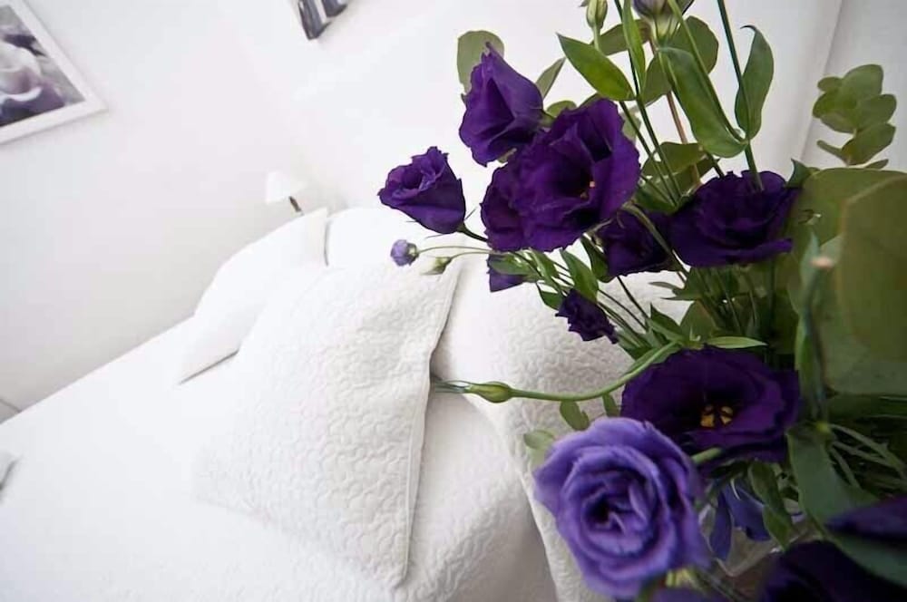 Comfortable Apartment Near the Vatican Free Wifi 6/16