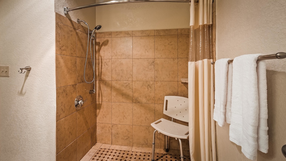Best Western Plus Executive Inn & Suites 14/33