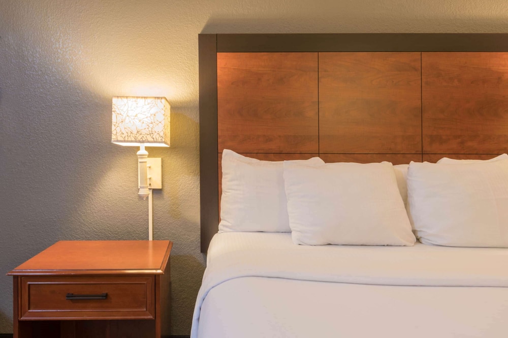 La Quinta Inn & Suites by Wyndham San Antonio Riverwalk 15/53