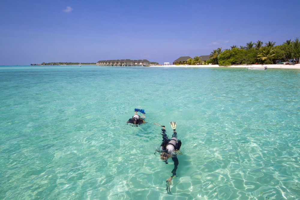 Summer Island Maldives 56/64