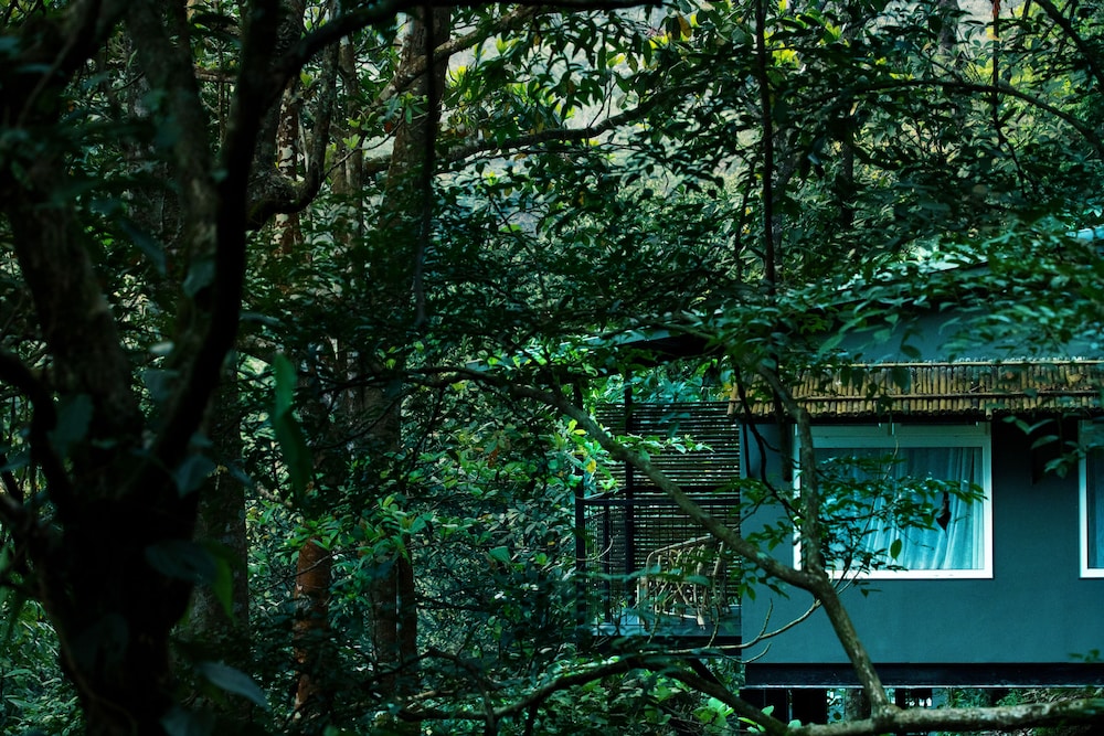 Wayanad Wild - Cgh Earth 38/48