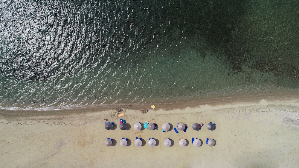 Alkinoos Beach Hotel 27/40
