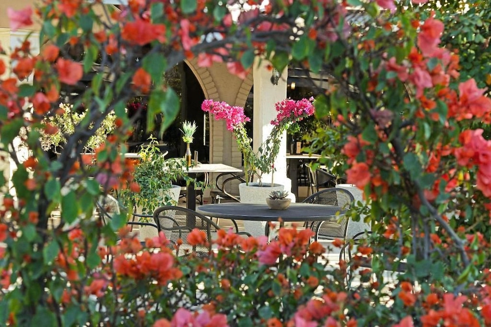 Hotel Del Rio 56/62