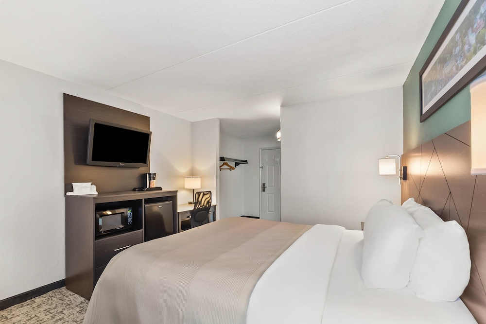 Standard, King Bed