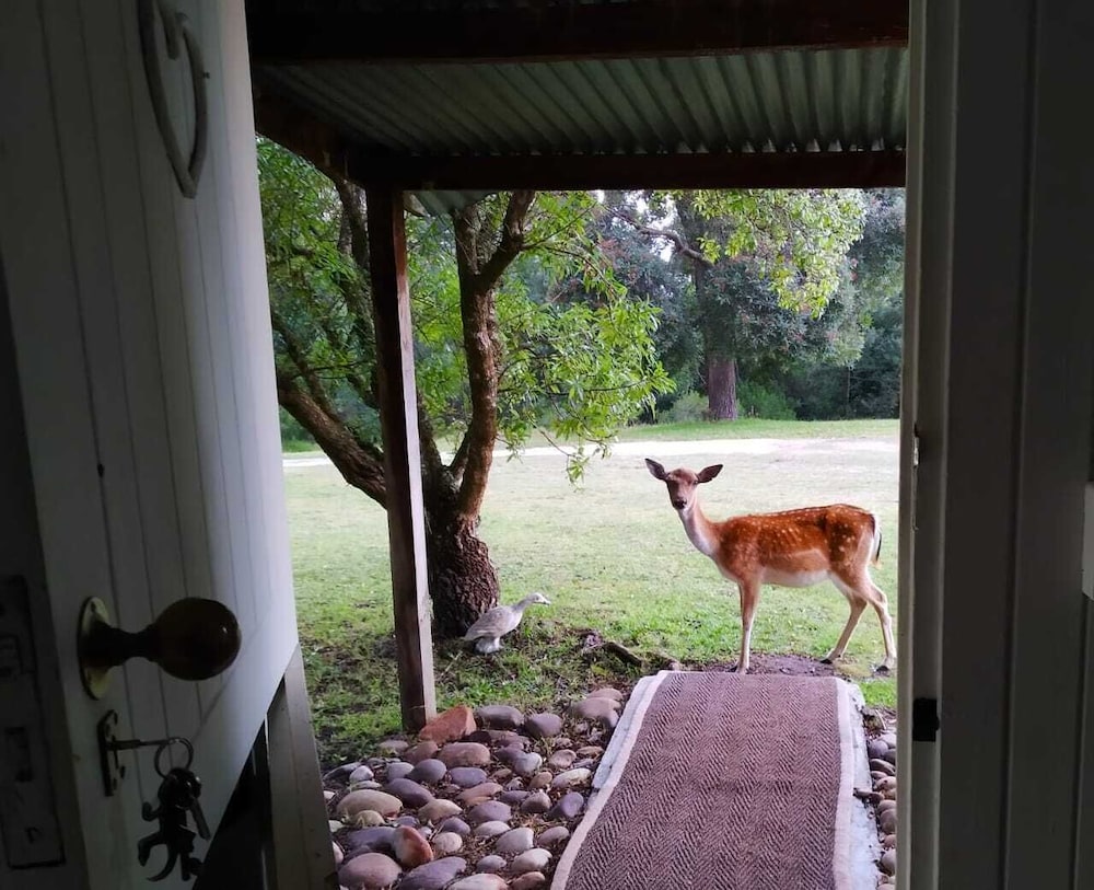 Green Hills Forest Lodge 21/27