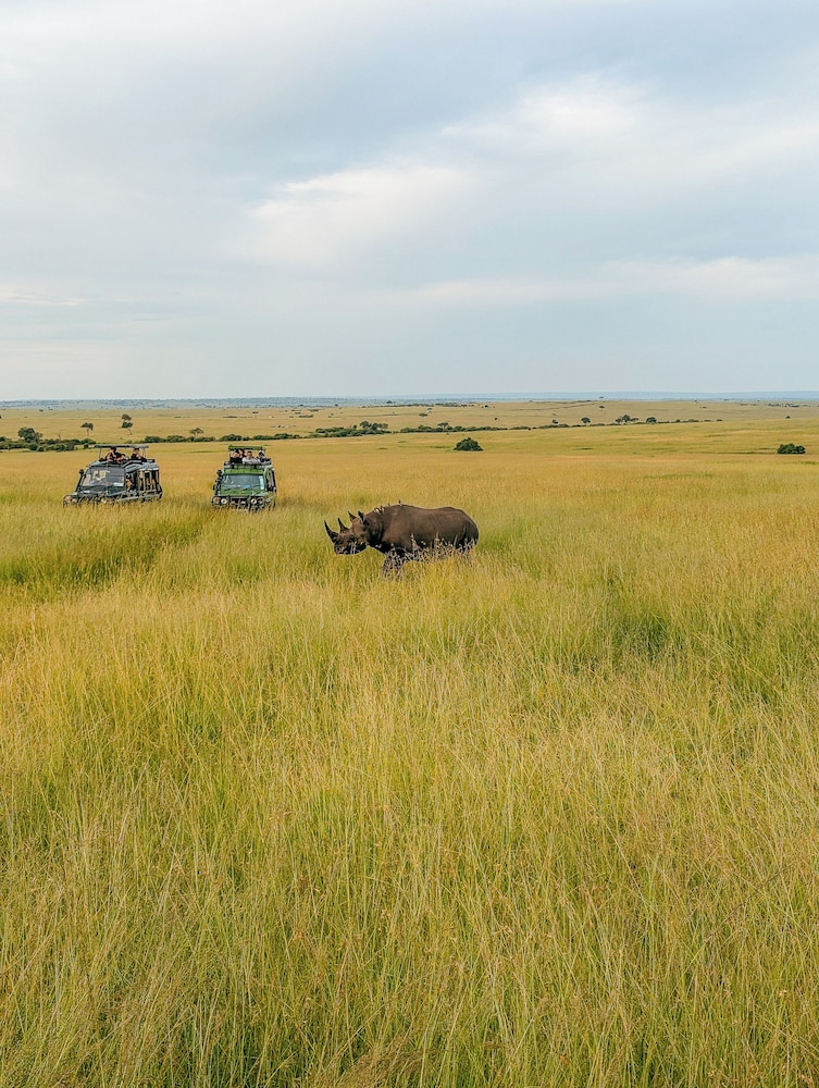 Muthu Keekorok Lodge, Maasai Mara, Narok 64/70