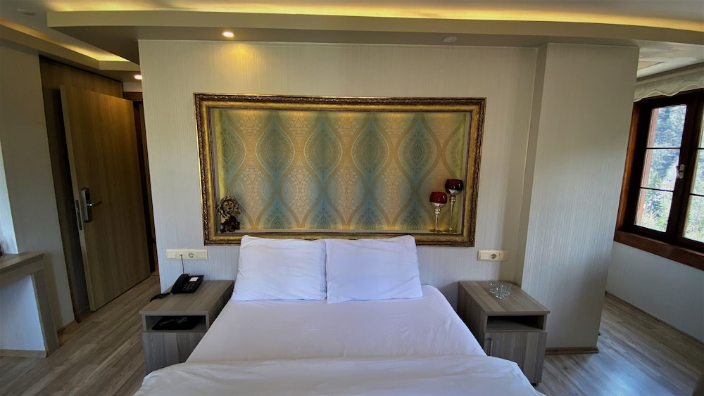 Ayder Resort Hotel 39/83