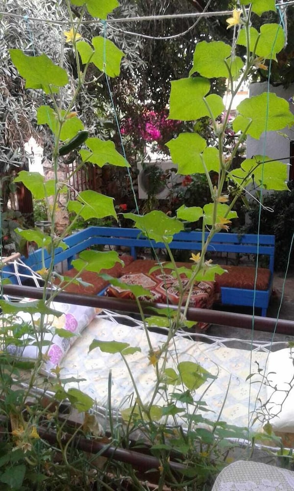 Likya Pansiyon 39/50