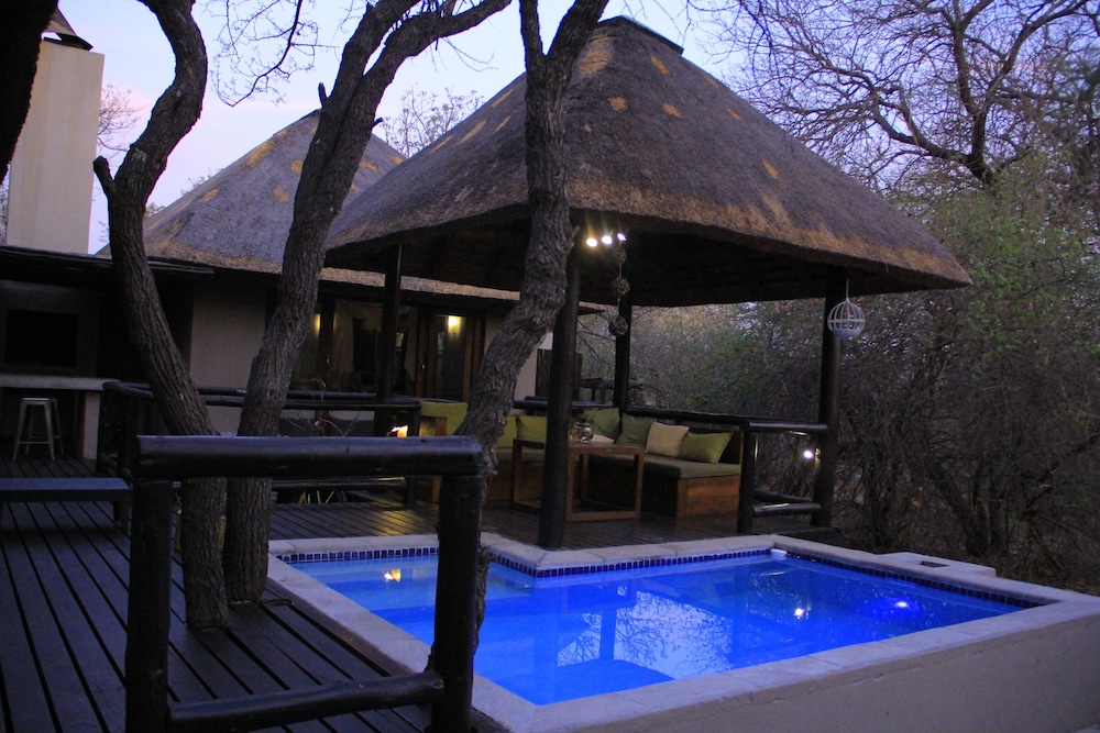 Raptors Lodge N16 19/50