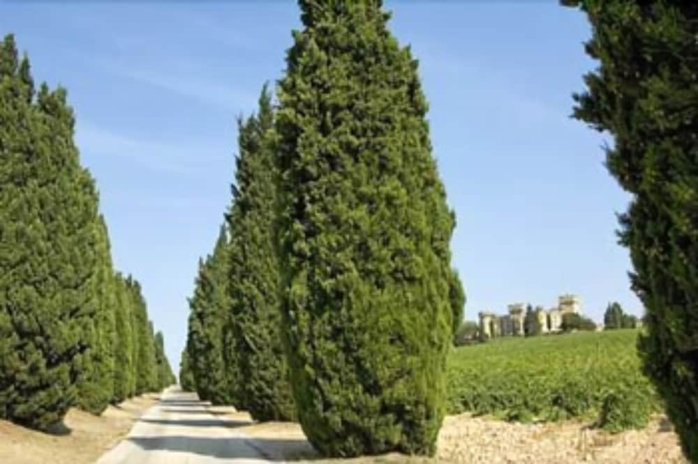 Host Du Chateau Des Fines Roches 32/40