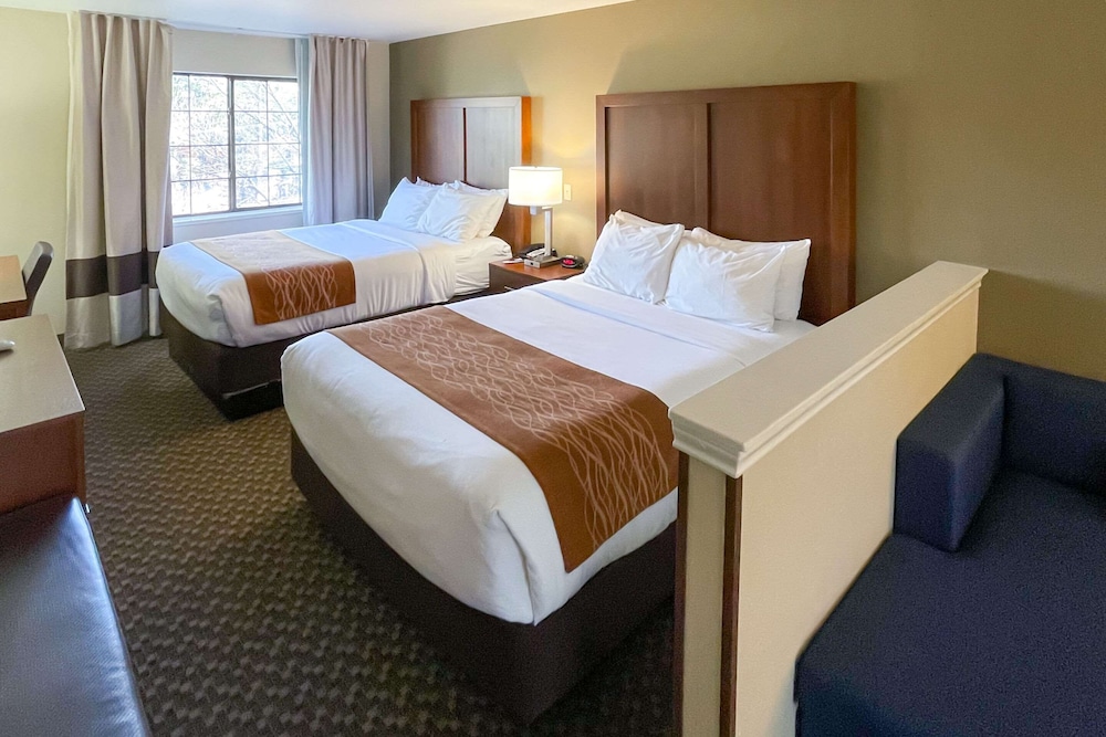Comfort Inn Midtown 12/50
